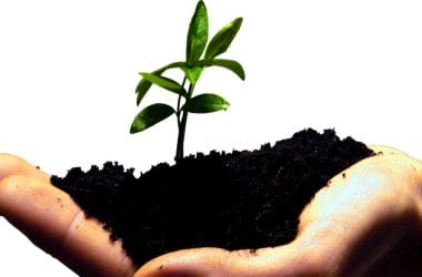 startup entrepreneur