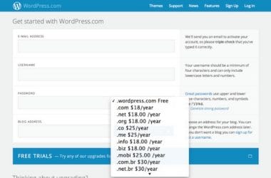 wordpress
