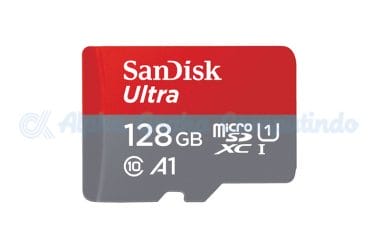 sandisk