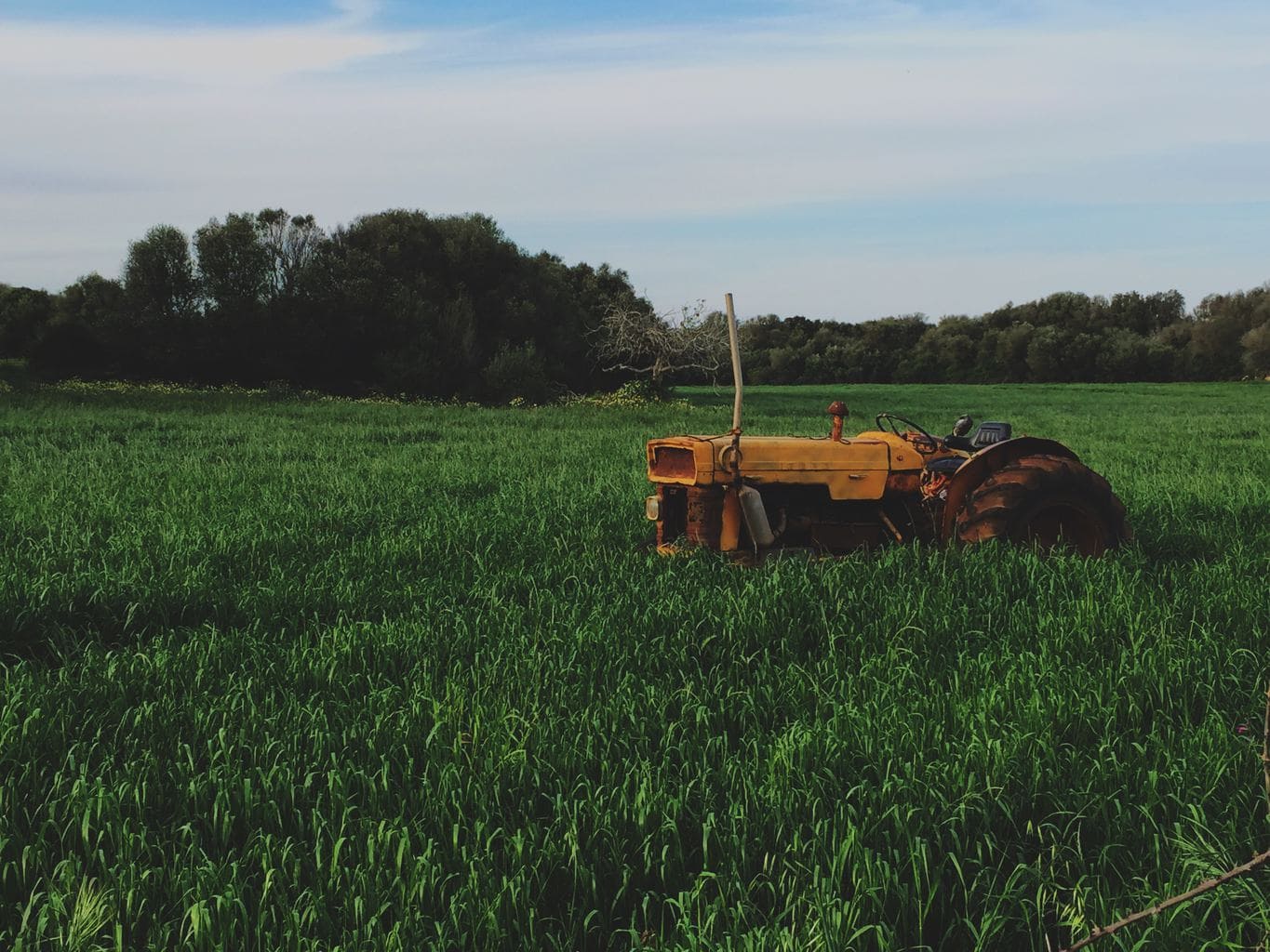 farmcrowdy