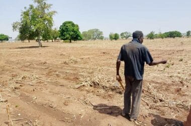 Digital Public Infrastructure Nigeria agriculture