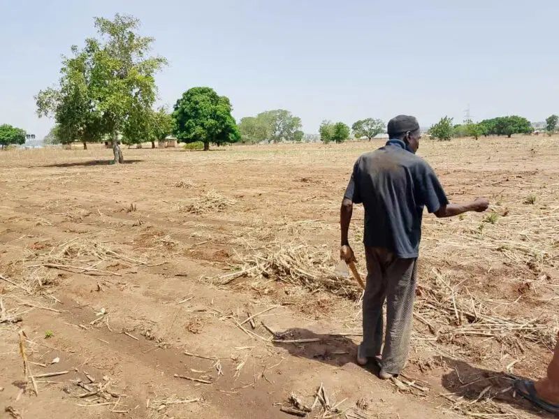 Digital Public Infrastructure Nigeria agriculture